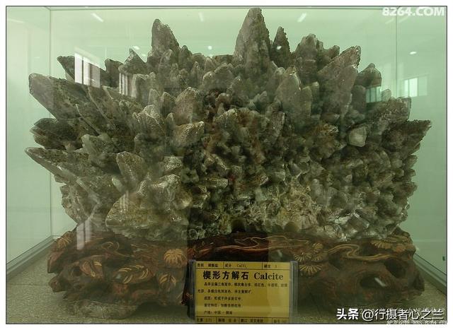 山东行游影记（31）—平邑天宇自然博物馆（六）