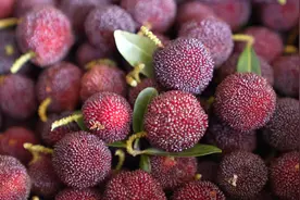 300元/公斤，预订一空！来自云南，还有→图片