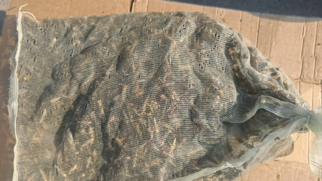 馋嘴寻味临朐九山大集，一口地道解乡愁！