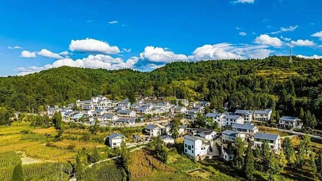 乡游黔中 · 白云区 石龙村丨坠入金色银杏海,收藏静美秋日