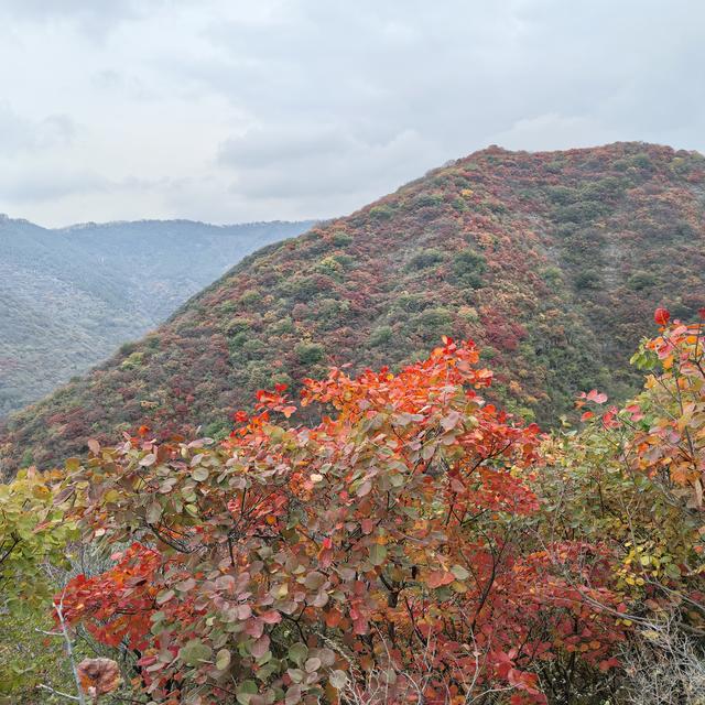 爬山有感，学会选择懂得放弃