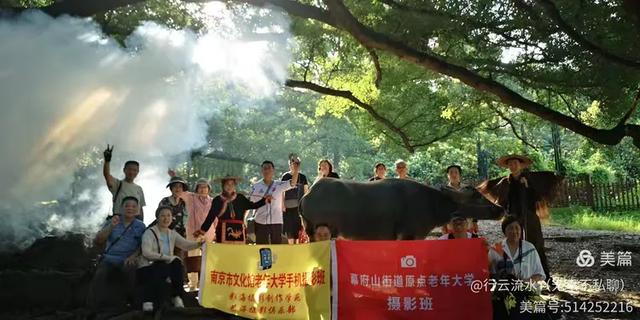 彩色旅图｜光影里的霞浦：滩涂、古树与渔排的诗意时光