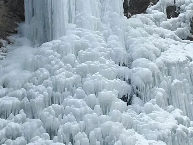 太美啦！包头一地进入最佳观赏期！