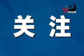 “制度+科技”，省厅构建专项资金绩效全链条管理图片