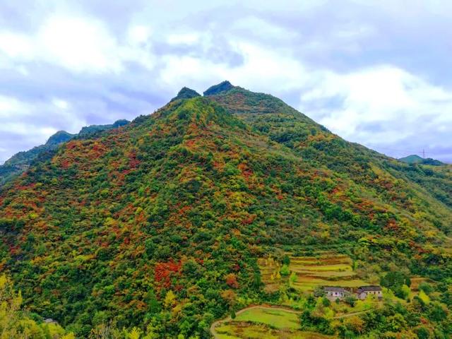 徽县大河店镇：层林尽染处 藏着最治愈的秋日时光
