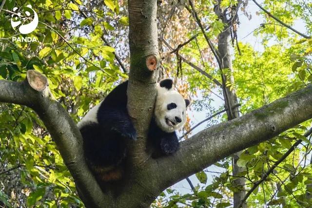 定了！城市+5，金湾直达！