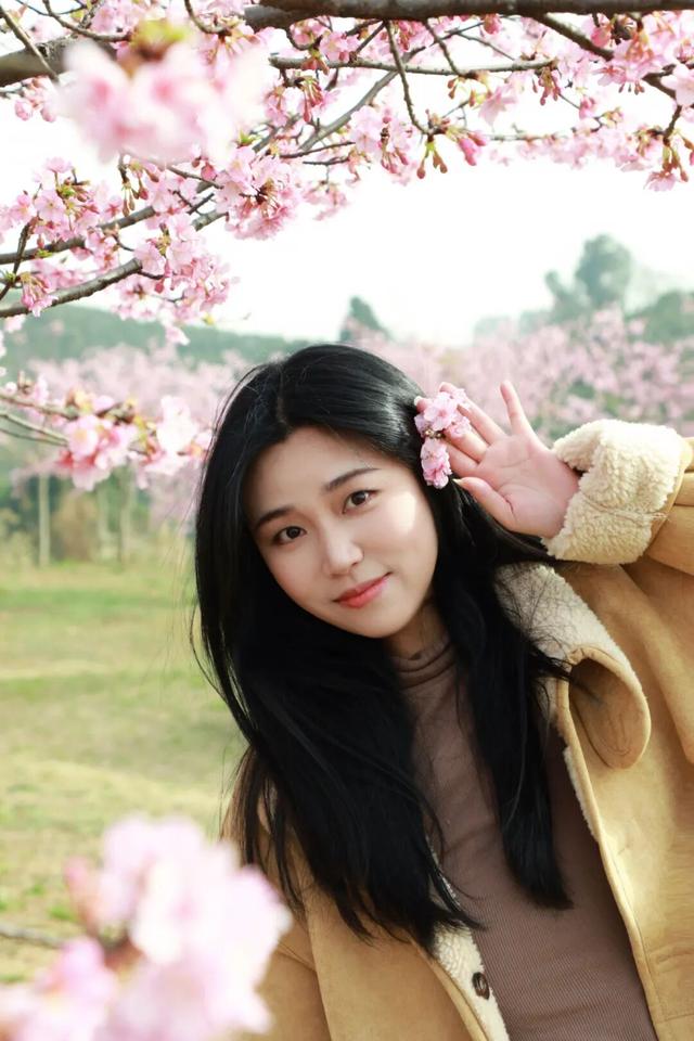 快来新津！成都最早最大面积樱花盛放！