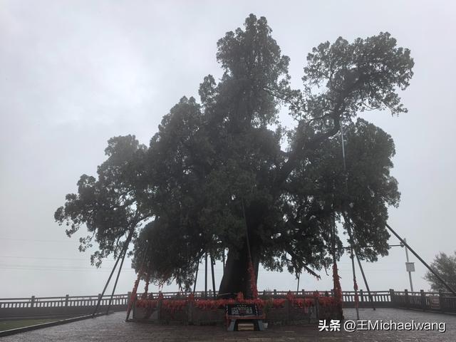 古意秋风三万里（D3）-从运城到芮城
