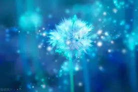 恶意和打压你的人，都在消耗你的能量和运气，一定要懂得反制图片