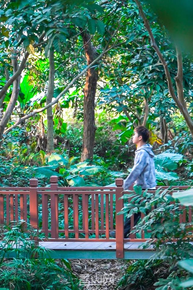 珠海5000年沙丘遗址秘境，免费开放！