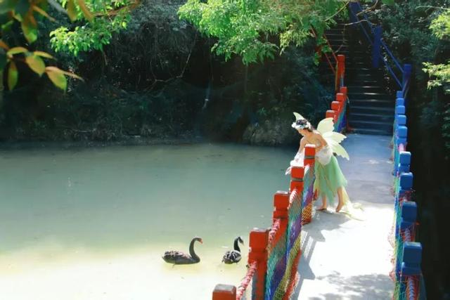 打卡宝藏景区观音山，闯入森林氧吧，开启一场望峰息心，康养之旅