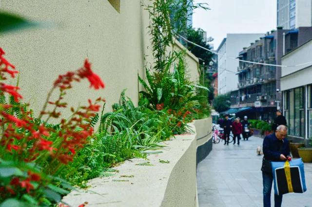 初冬色彩+N!街角美得藏不住→