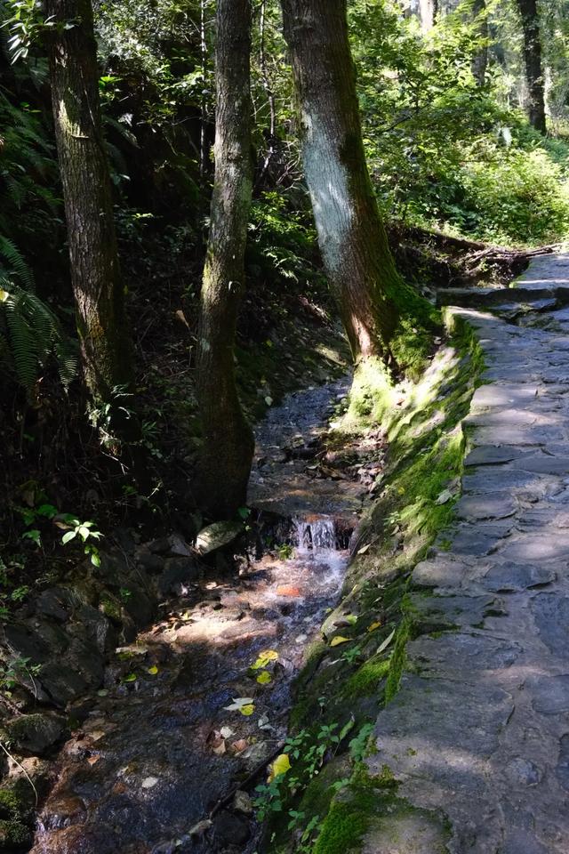 大理银桥 | 以旅居的方式，去发现“景点”和“美食”