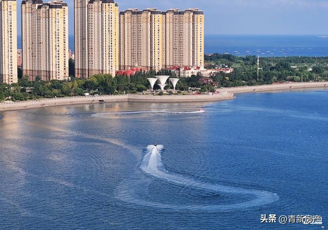 盛夏唐岛湾：一半是浪花激情，一半是树荫惬意