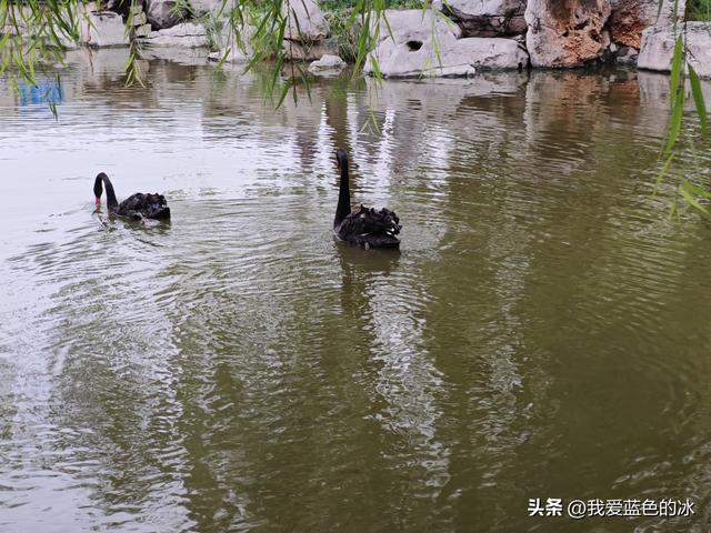 邯郸丛台公园最大的亮点就是里面的一座造型奇特的城堡