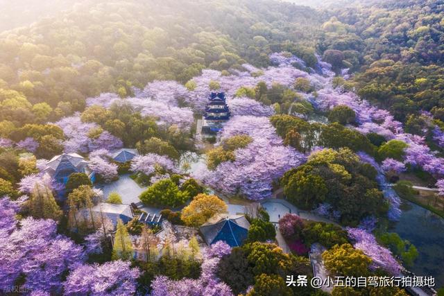适合江浙沪周边短途游的5个城市