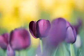 金子般的五句话，说透了人生，渡了无数人！图片