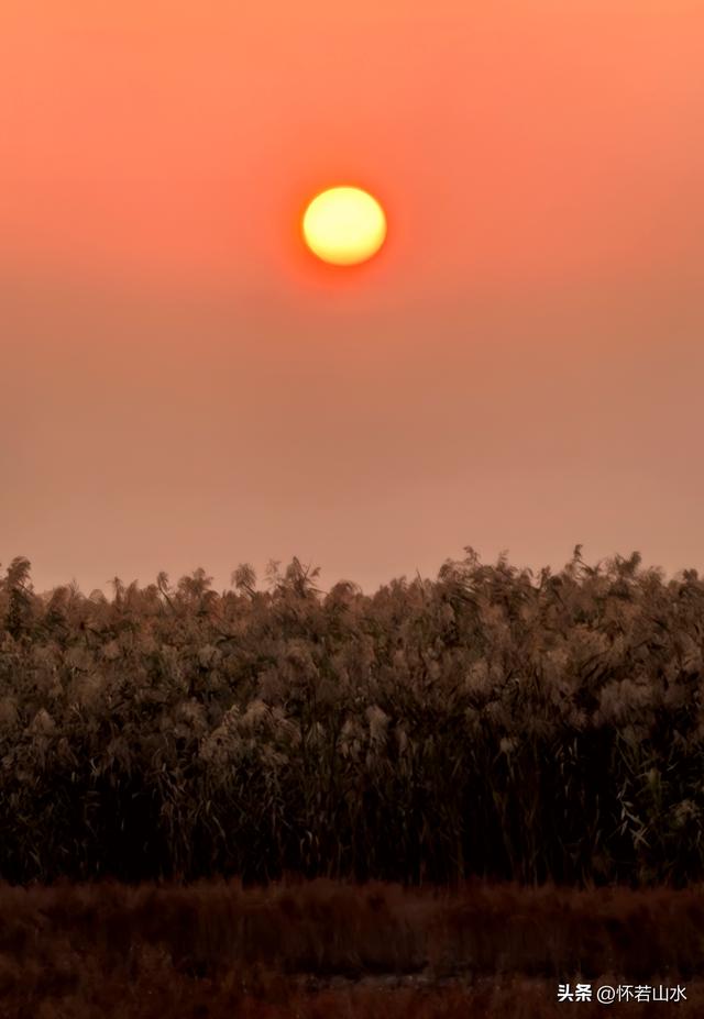 2025辽宁赏秋之旅日记(6)——到辽河口中国最北海岸线看日出 观鸟