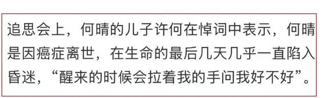 何晴葬礼儿子发言泪目：妈妈遗言曝光，许亚军为何没来？