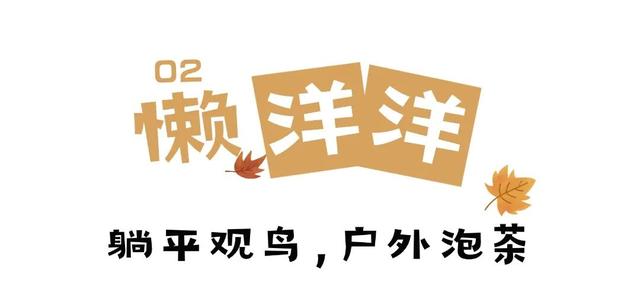 武夷山 | 我就说，这才是过日子~