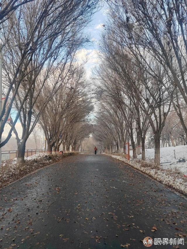 乌鲁木齐老街故事｜湾绕六道 岁月沉香——六道湾的时光叙事