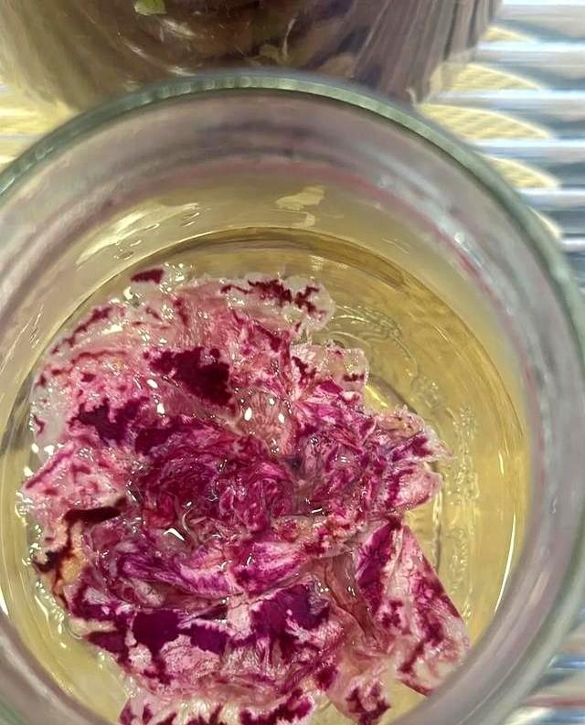 你以为你在养生，其实喝的是硫磺水！