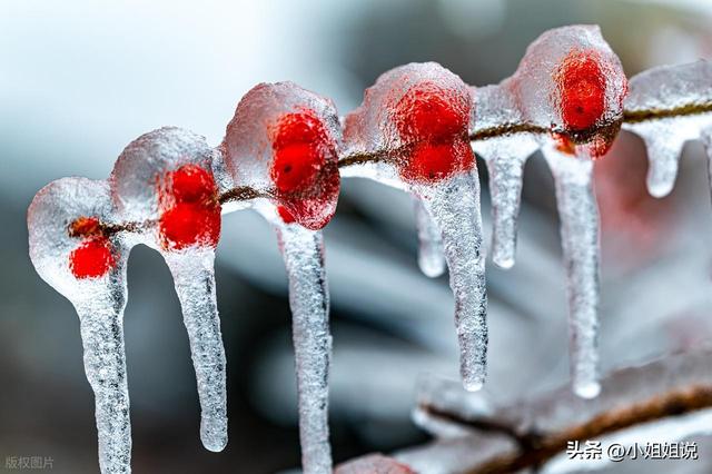 “大雪多不多，就看立冬”，今日立冬，今年冬天雪多冷到哭吗？