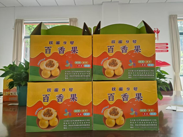 摘不完！根本摘不完！肇庆最新水果采摘好去处，gogogo~