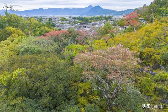 丽江的最美秋色九鼎龙潭，但位置隐秘，大部分游客都视而不见