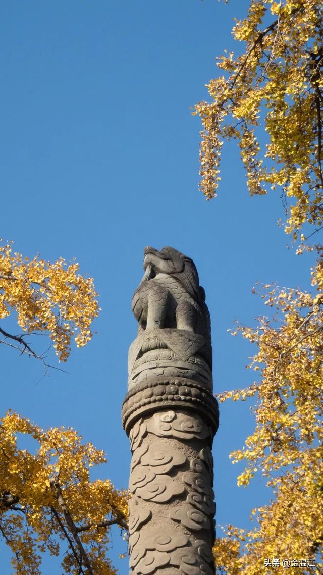 在“杏”福满满的大南街！这样拍超出片