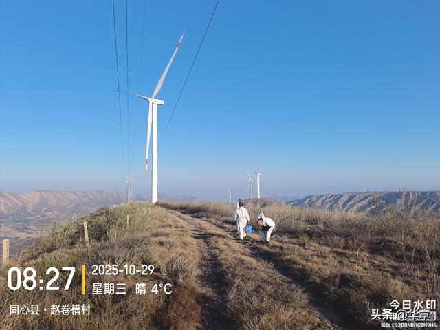 旱塬涅槃：张家塬乡，一座国家级农业主题公园的梦想