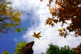 【晋城】太喜欢丹河新城的秋天，每一帧风景都值得收藏！图片