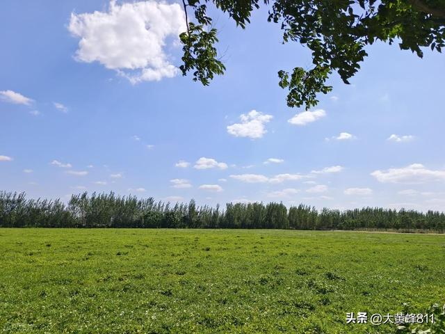 认识大美河南的每个县——第四波：尉氏