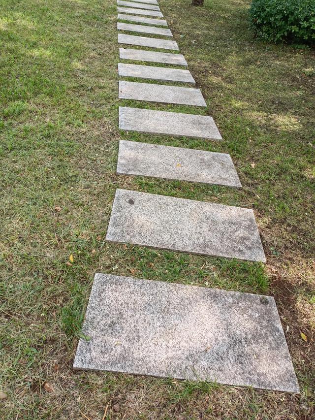 旅游者与当地居民的利益冲突