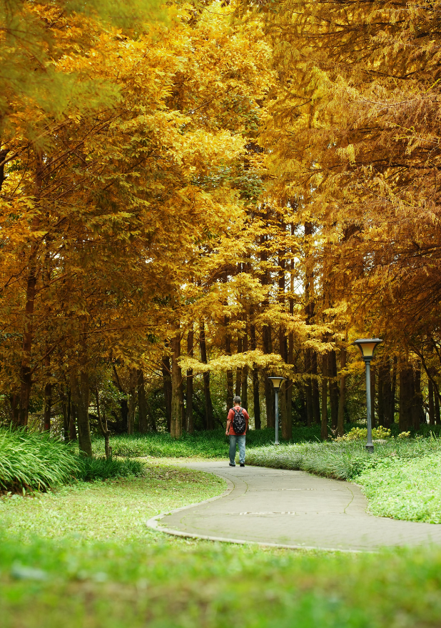 跟着《一路繁花2》打卡花溪~复刻姐姐们同款秋冬美景！
