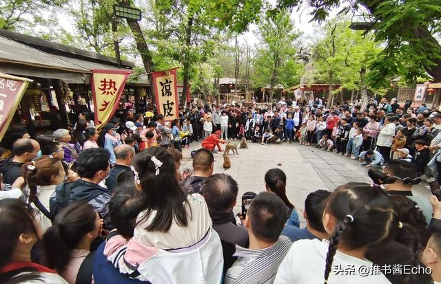 景区醒醒！照搬万岁山=自毁前程，砸钱也成不了第二个江湖