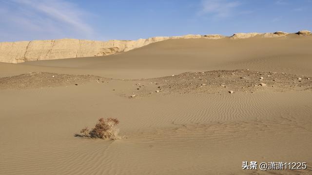 额济纳今年没有金胡杨（3）：消失的黑水城