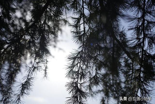 腾龙“20-40mm F/2.8 Di III VXD”镜头评测!