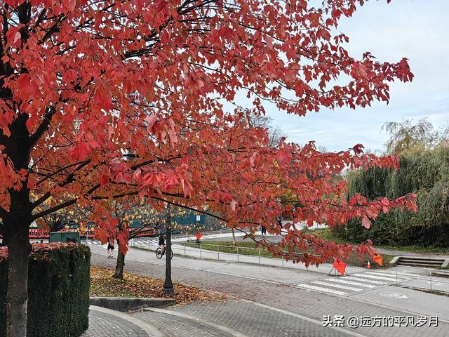 温哥华游记（一）