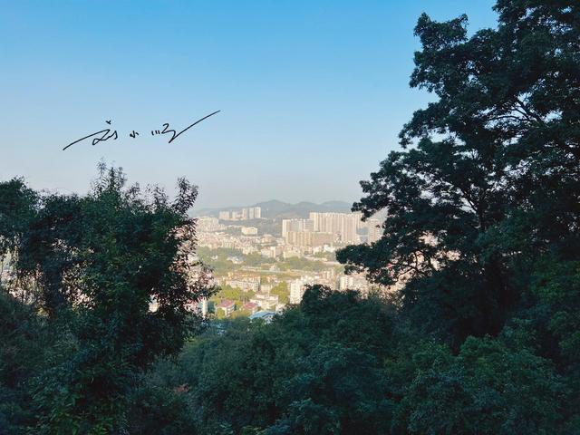 广州市“最有争议”的区？有人觉得它是市区，也有人觉得它是郊区