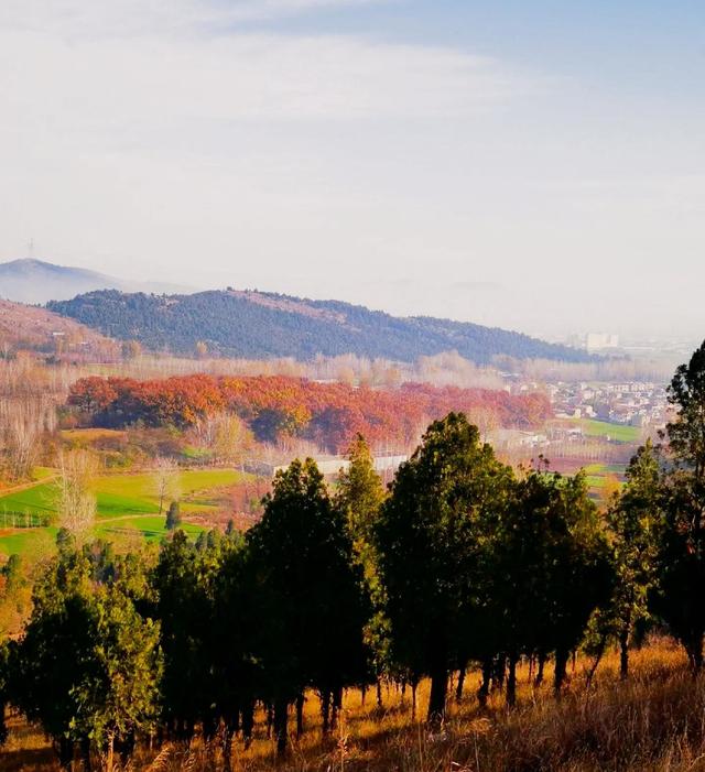我是嘉兴人，去了趟安徽萧县，不吹不黑，萧县比网上评价的还要好