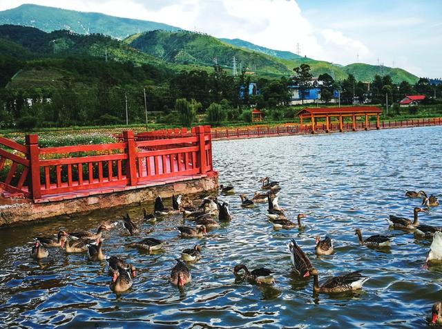 四川省冕宁县历史沿革及行政区划