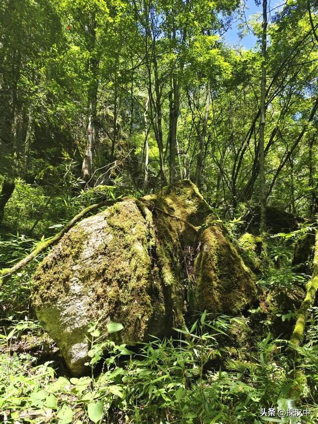 春有繁花夏有凉，秋染山林冬有霜 —— 草川子景区
