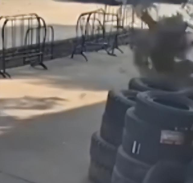 广东一20岁瘫痪小伙绑氢气球将自己升入百米高空，降落时剪断绳子摔落，残联回应：具体情况正了解中