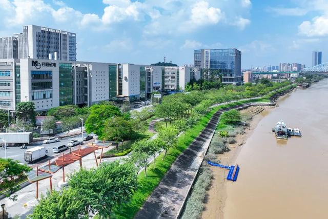 逛完你的逛你的，桂城公园真的逛不完！免费畅玩→