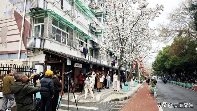 城事新探 | 太子湾郁金香上线，樱花、玉兰争相绽放，杭城这里“含春量”100%🤩🤩🤩