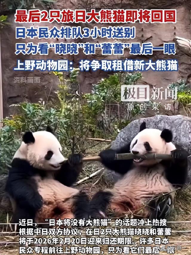 没有回旋余地，中国下令直接收回，17万日本人泪奔，高市闯祸了！