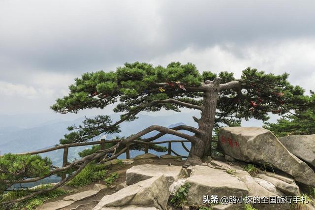 武汉出发！2 小时车程 5 个冷门自驾宝藏地，承包你的诗与远方