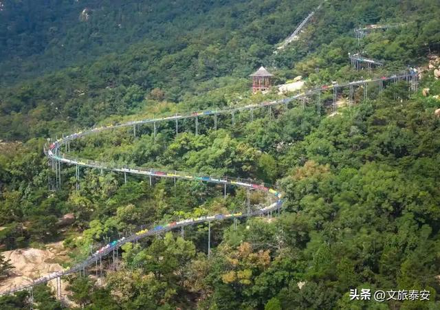 从栾树到彩林，每一步都是心动！新甫山向你发出赏秋邀请函~