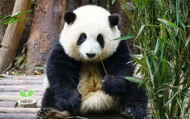 快冲！乌海出发机票低至480元！